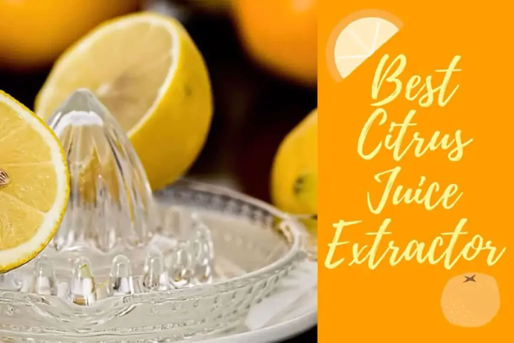 The Best Citrus Juicer machine to extract juice from Oranges and other Citrus fruits