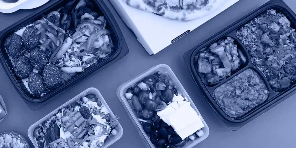 Are Plastic Containers Safe For Food? BPA free?