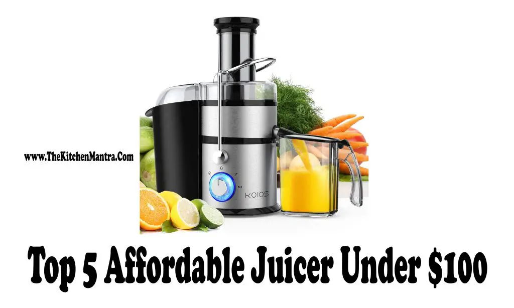 Top 5 Affordable Best Juicer Under $100 | Buyer’s Guide & Reviews |