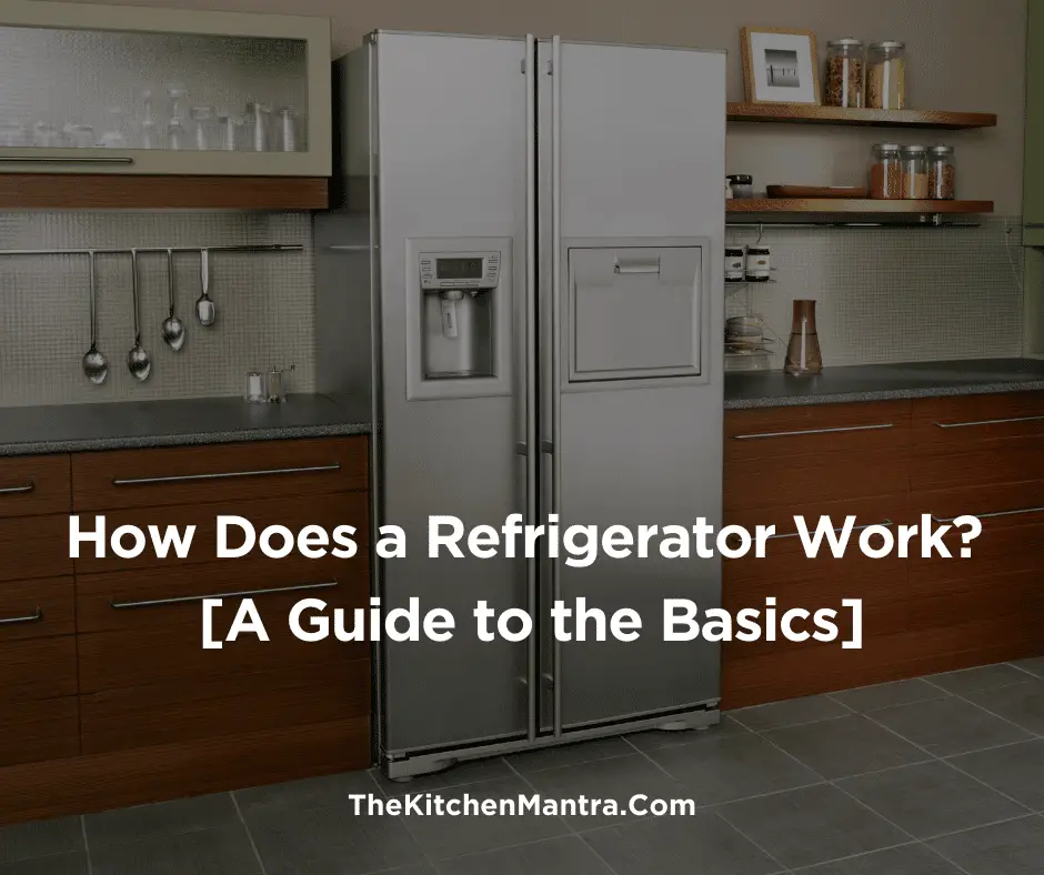 How Does A Refrigerator Work? (Step By Step Guide)