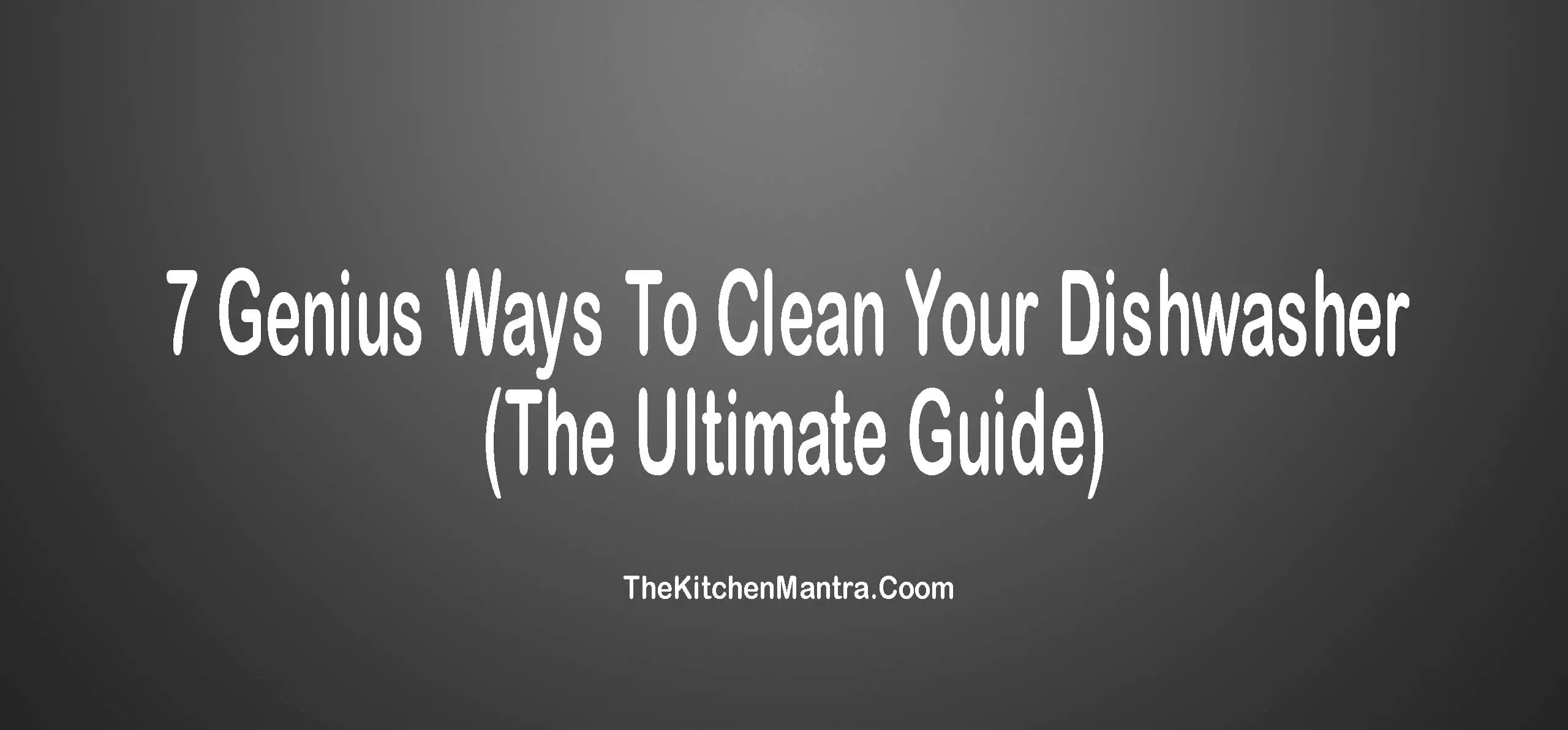 how to clean a dishwasher filter