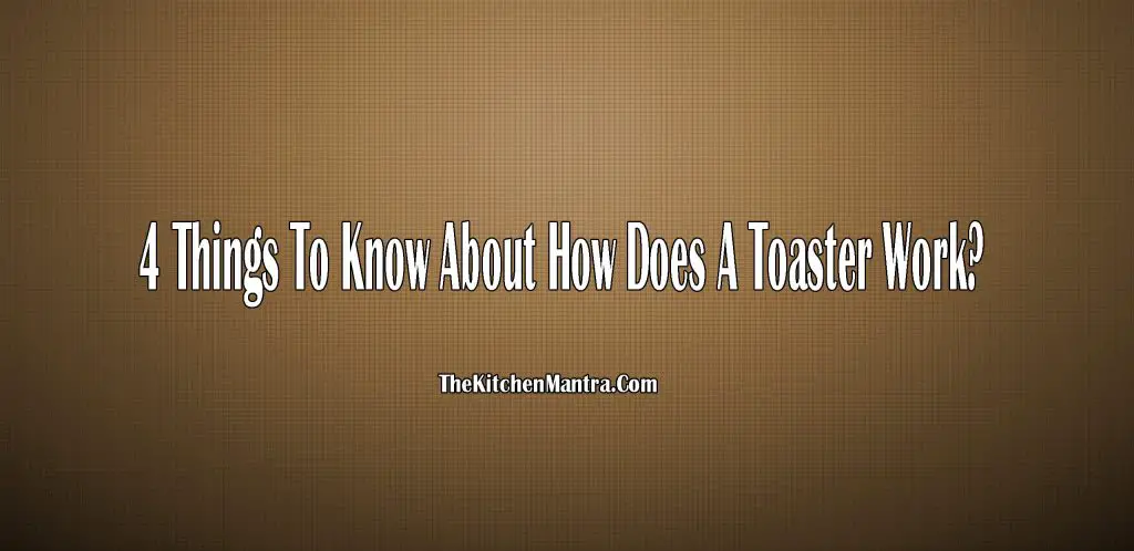 4 Things To Know About How Does A Toaster Work? | (20221)